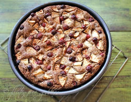 Gluten-Free Apple Cake with Cranberries