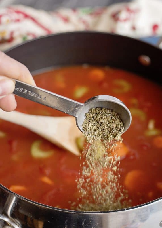 Seasoning Spaghetti Lover's Soup