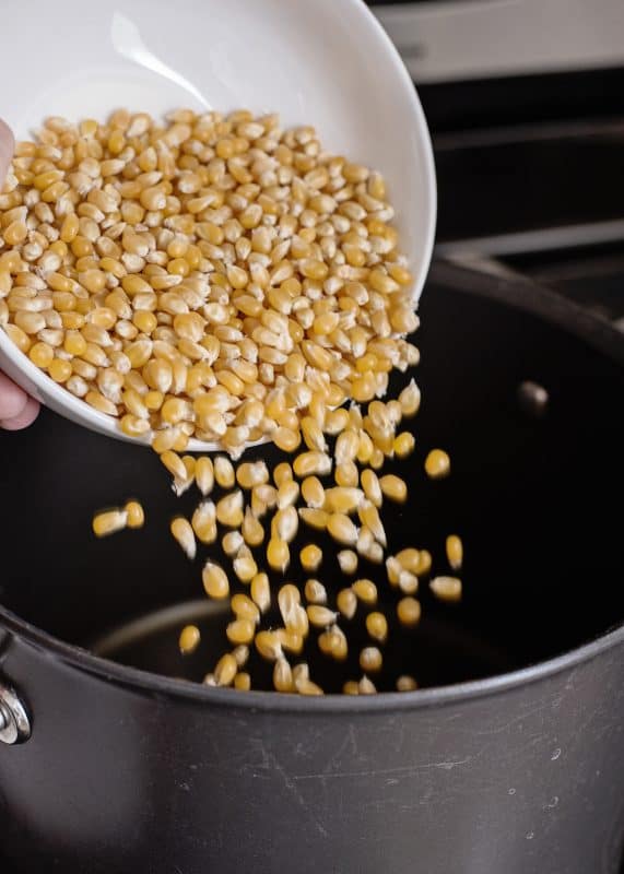 Putting popcorn kernels in a pot to make popcorn the old fashioned way