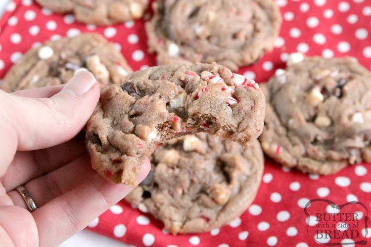 Hot chocolate cookie recipe with chocolate chips and candy canes