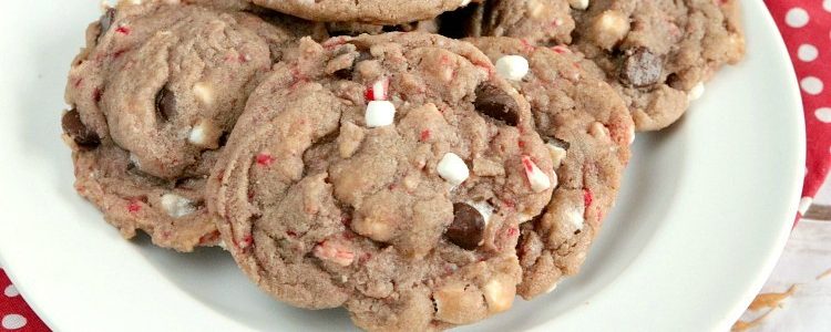 HOT COCOA COOKIES - Butter with a Side of Bread