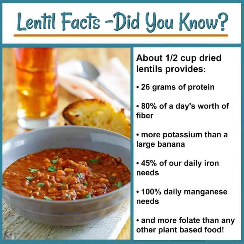 Budget Friendly & Delicious Lentil Stew