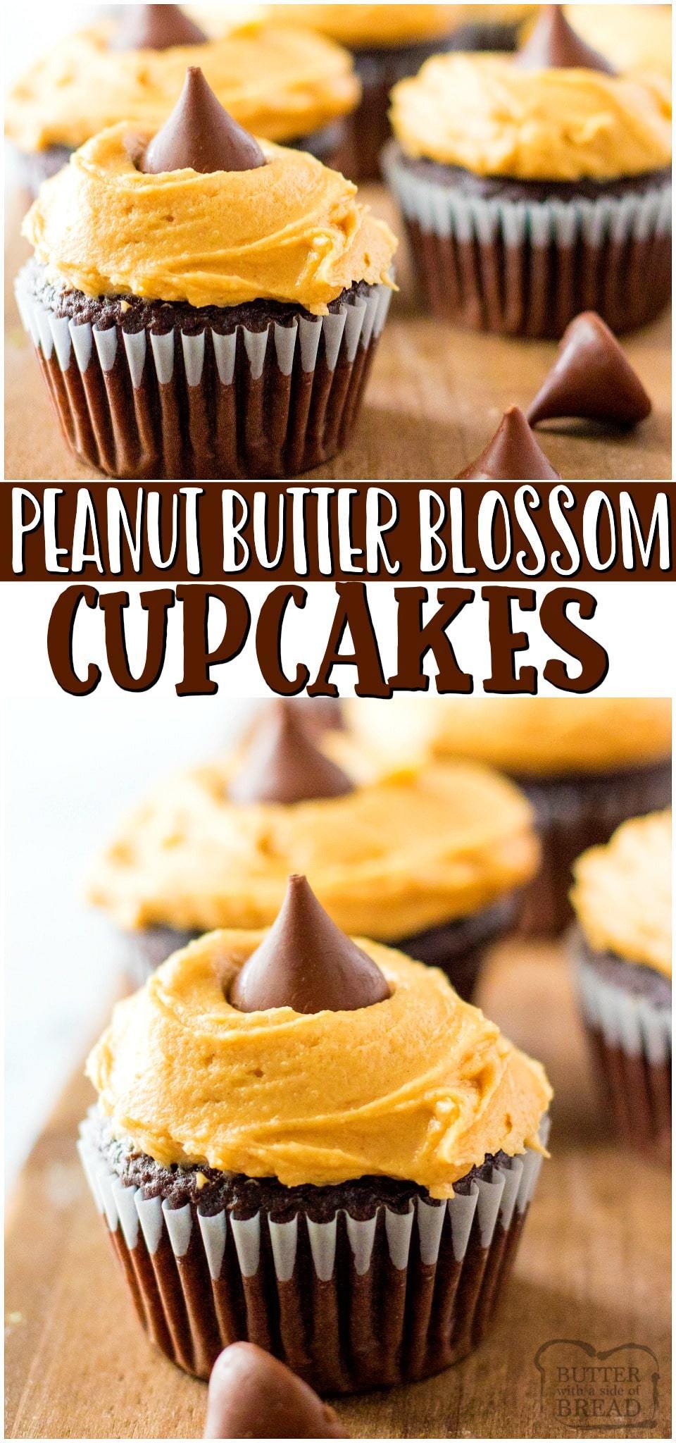 Peanut butter blossom cupcakes~ a fun twist on traditional peanut butter blossom cookies! Chocolate cupcakes topped with Peanut butter cream cheese frosting & a chocolate kiss are a delicious treat!