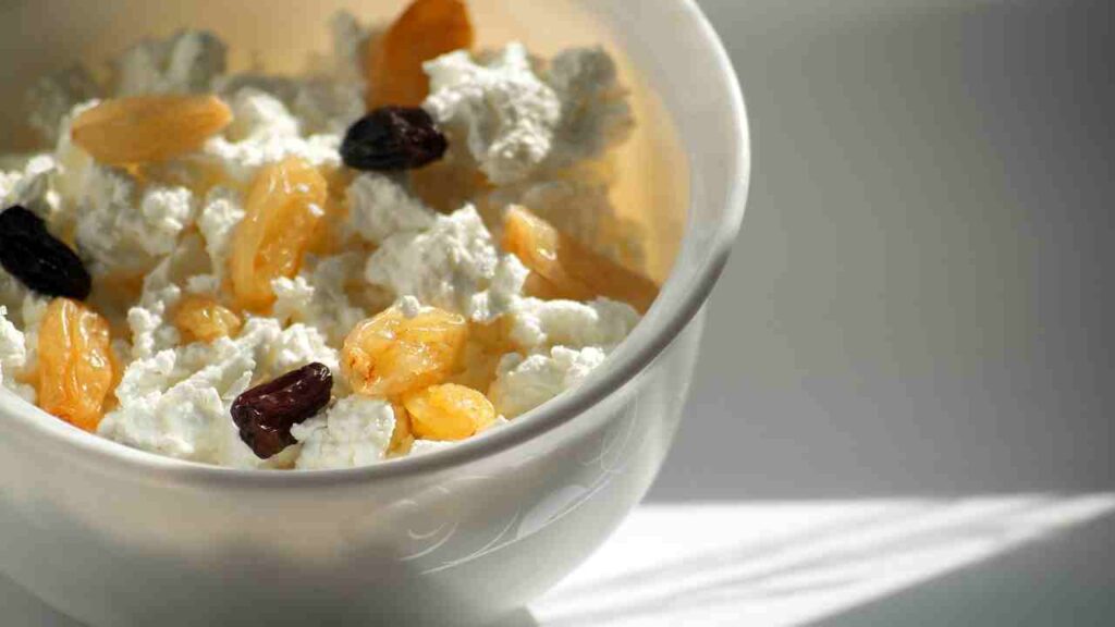 cottage cheese recipes