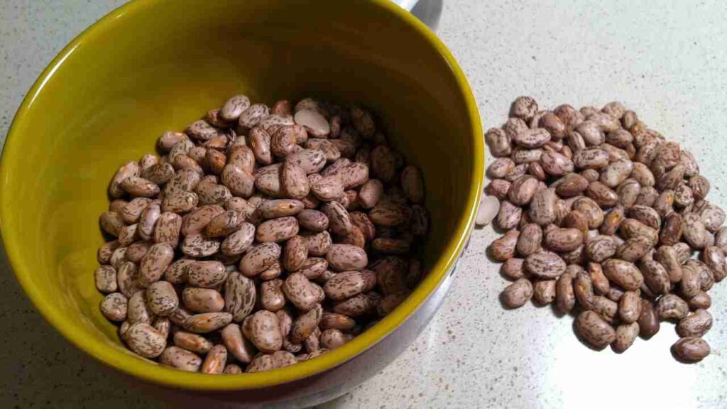 beans legumes