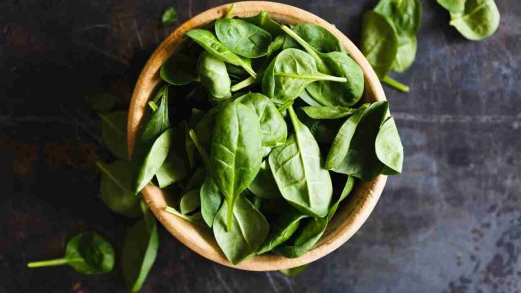 how to preserve basil 1