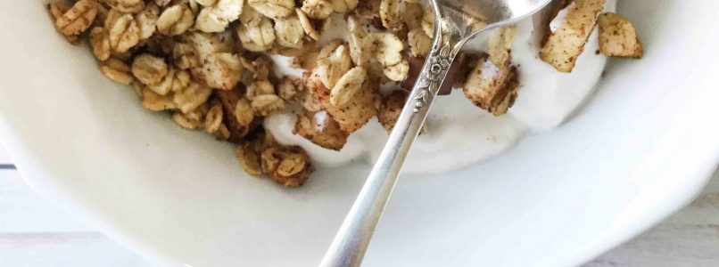 Apple Spice Granola — The Skinny Fork