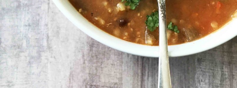 Chicken Fajita Soup (Instant Pot) — The Skinny Fork