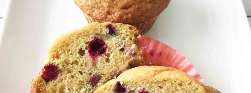 Cranberry-Orange Muffins — The Skinny Fork