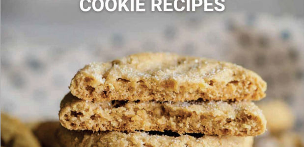 cookie ebook 2020