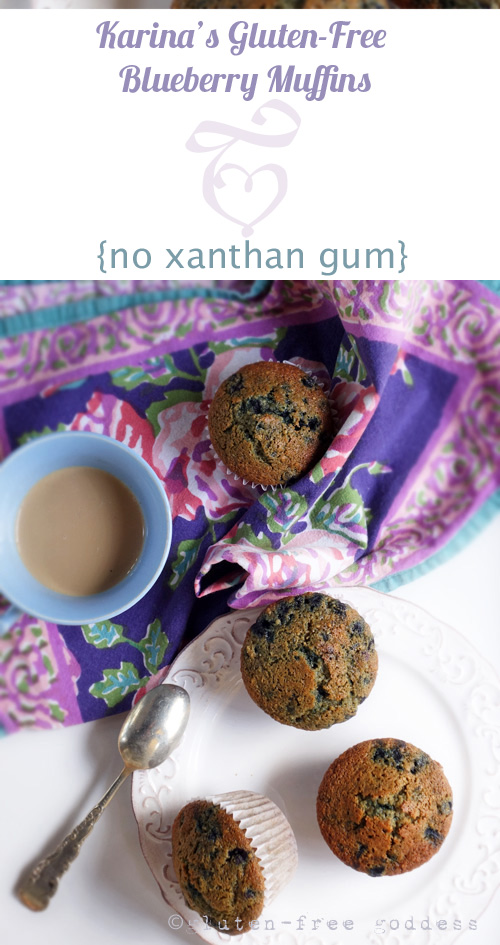 Deliciously gluten-free blueberry muffins without xanthan gum. From Karina, Gluten-Free Goddess.