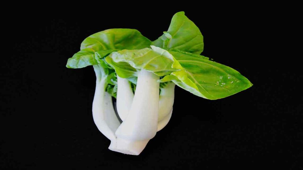Chinese cabbage properties