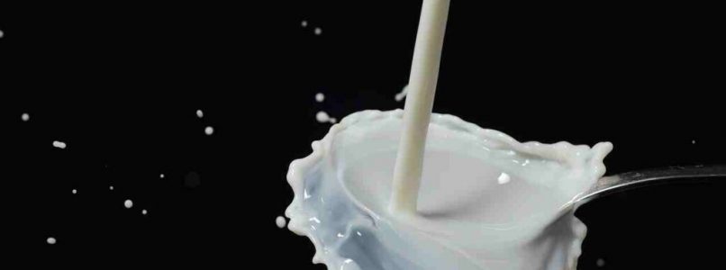 milk properties and benefits