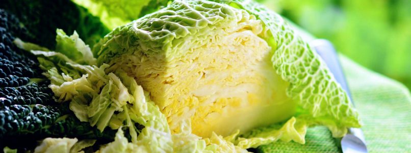 Recipes with savoy cabbage: recipes and techniques