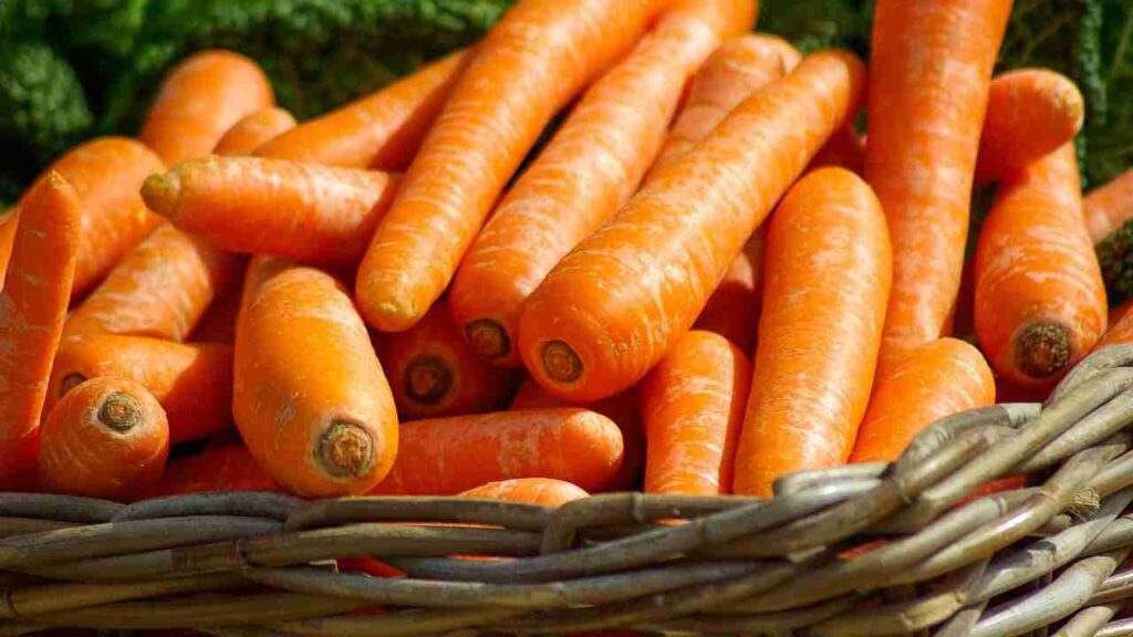 carrots properties and benefits